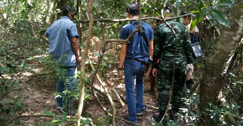 พัน เดินดง พัน เดินดง