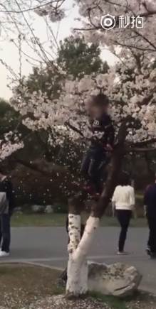 นักท่องเที่ยวจีน นักท่องเที่ยวจีน