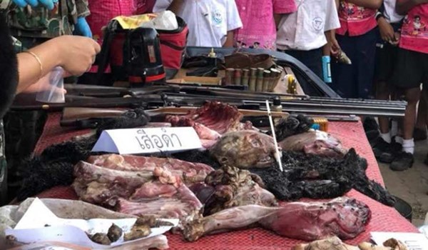 ปศุสัตว์ แจงปม พ.ร.บ.ป้องกันทารุณกรรมฯ ยังไม่ให้นิยามสัตว์ในธรรมชาติ ปศุสัตว์ แจงปม พ.ร.บ.ป้องกันทารุณกรรมฯ ยังไม่ให้นิยามสัตว์ในธรรมชาติ