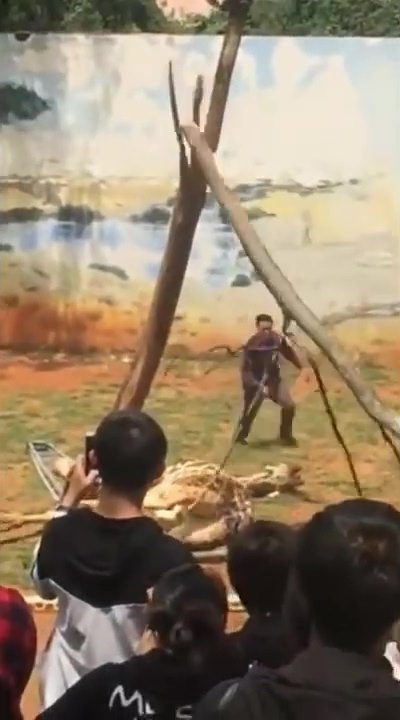 ยีราฟคอติดต้นไม้ ยีราฟคอติดต้นไม้