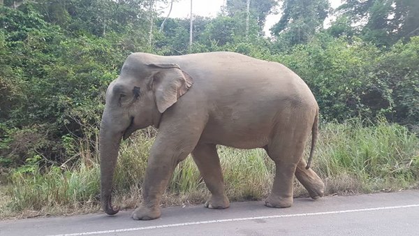 จ่อปิดถนน 3076 ถาวร จ่อปิดถนน 3076 ถาวร