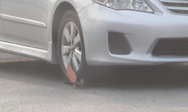 ป้าทุบรถ ป้าทุบรถ