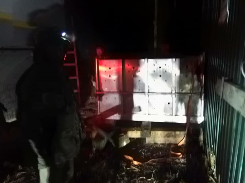 เสือโคร่งไซบีเรีย เสือโคร่งไซบีเรีย