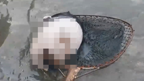 ศีรษะมนุษย์ลอยน้ำ ศีรษะมนุษย์ลอยน้ำ