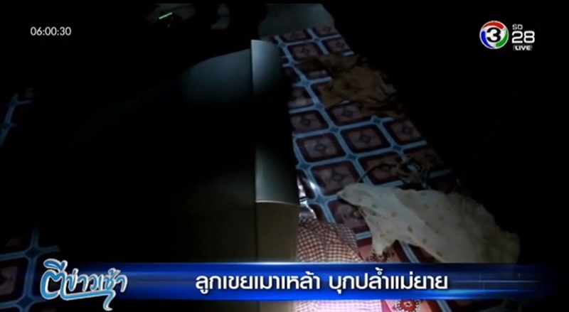 ลูกเขยปล้ำแม่ยาย ลูกเขยปล้ำแม่ยาย