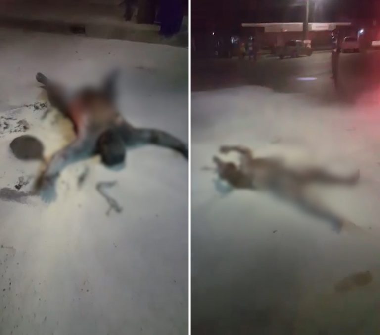 เผาตัวเองทั้งเป็น เผาตัวเองทั้งเป็น