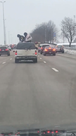 ปีนหลังคารถเต้น ปีนหลังคารถเต้น