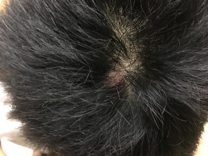 งานบวชโรงเรียนวัดสิงห์ งานบวชโรงเรียนวัดสิงห์