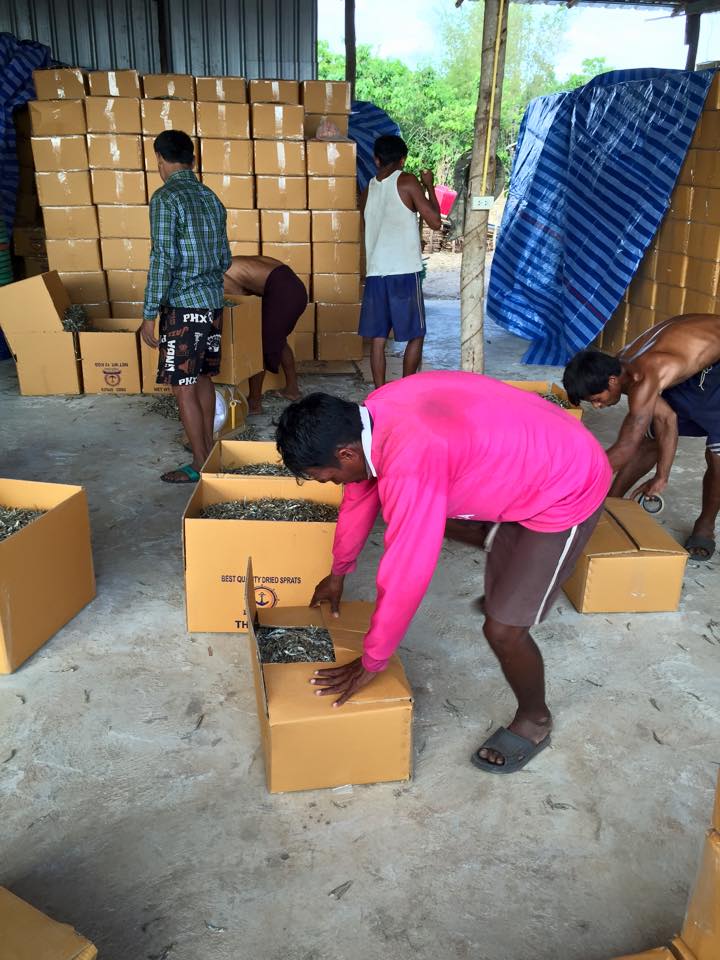 ภาพบรรจุปลาแห้ง คนงานใช้เท้าเหยียบ ภาพบรรจุปลาแห้ง คนงานใช้เท้าเหยียบ