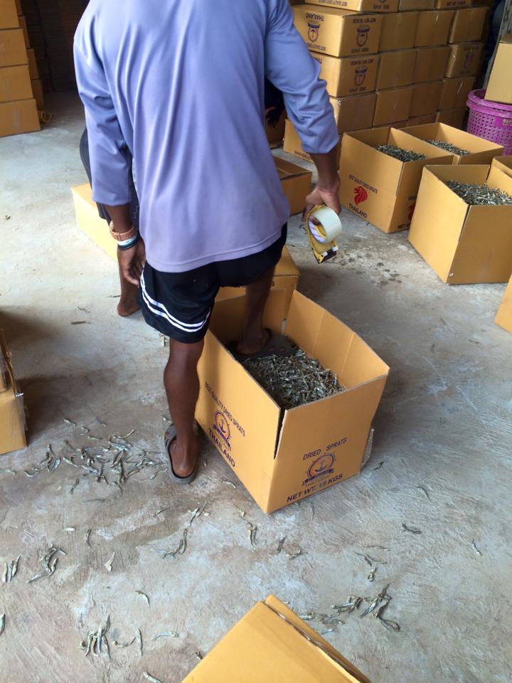 ภาพบรรจุปลาแห้ง คนงานใช้เท้าเหยียบ ภาพบรรจุปลาแห้ง คนงานใช้เท้าเหยียบ