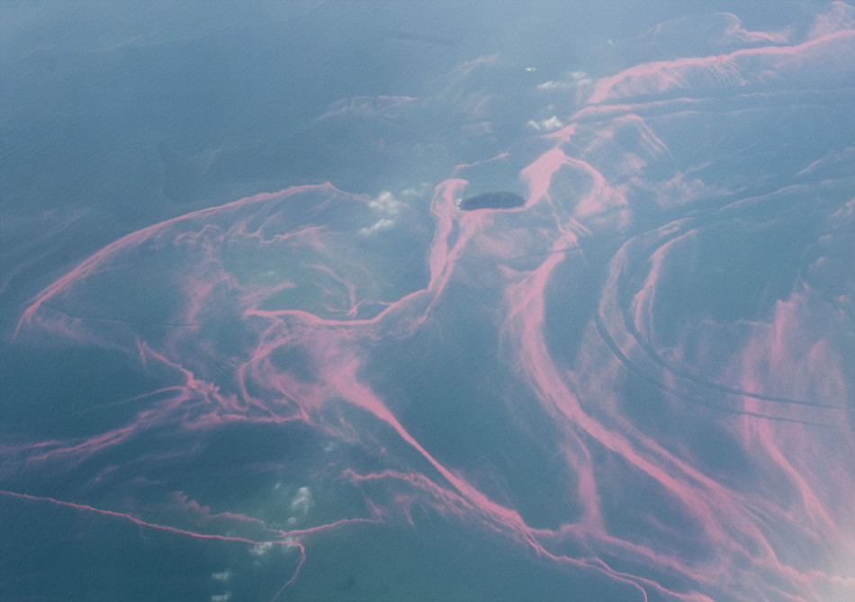 Algal blooms Algal blooms