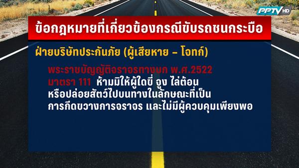 คดีรถชนควาย คดีรถชนควาย