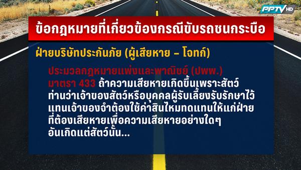 คดีรถชนควาย คดีรถชนควาย