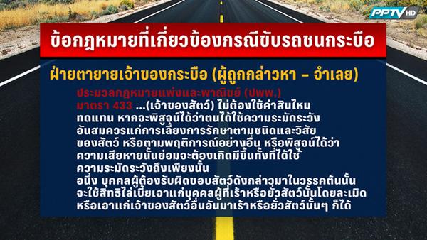 คดีรถชนควาย คดีรถชนควาย