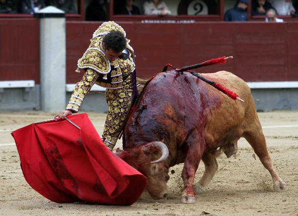 เทศกาลสู้วัวกระทิง เทศกาลสู้วัวกระทิง