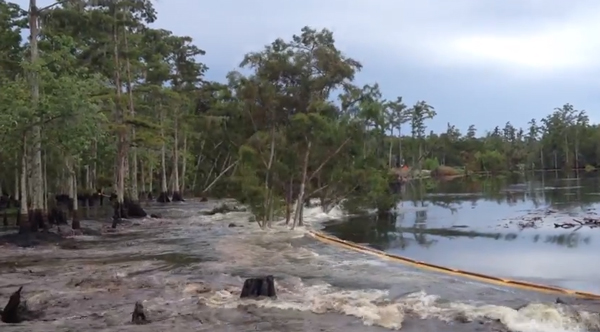 หลุมน้ำวนในหลุยส์เซียน่า สหรัฐอเมริกา หลุมน้ำวนในหลุยส์เซียน่า สหรัฐอเมริกา
