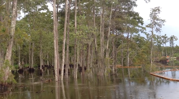 หลุมน้ำวนในหลุยส์เซียน่า สหรัฐอเมริกา หลุมน้ำวนในหลุยส์เซียน่า สหรัฐอเมริกา