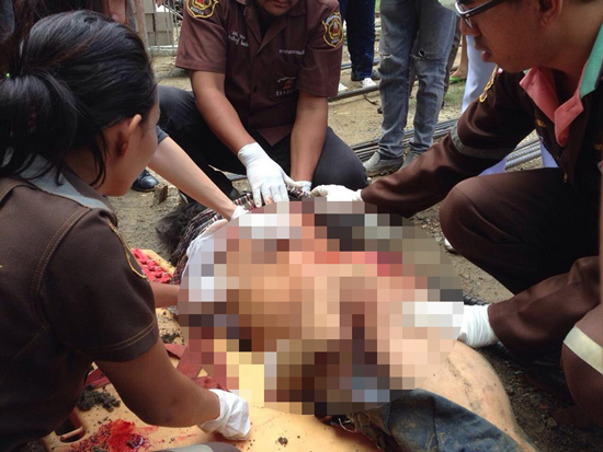 บุ้งกี้เหล็กสลิงขาด หล่นทับคนงานดับคาที่ 1 ราย บุ้งกี้เหล็กสลิงขาด หล่นทับคนงานดับคาที่ 1 ราย