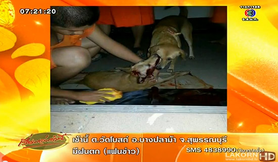 พระตีหมากระโหลกแตก พระตีหมากระโหลกแตก