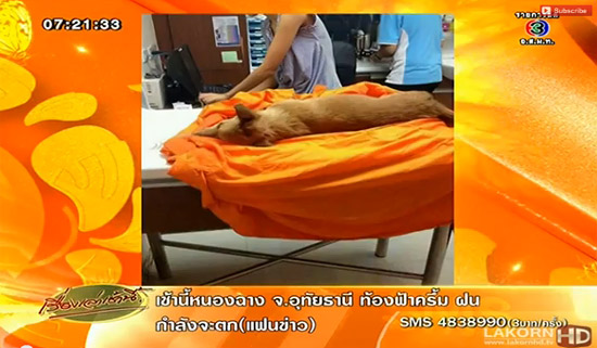 พระตีหมากระโหลกแตก พระตีหมากระโหลกแตก