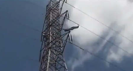 ชายบราซิลกระโดดจากเสาไฟฟ้าแรงสูง ชายบราซิลกระโดดจากเสาไฟฟ้าแรงสูง