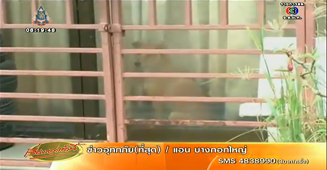 โวยเพื่อนบ้านเลี้ยงสุนัขจรจัดกว่า 60 ตัว ส่งกลิ่นเหม็น-เห่าเสียงดัง โวยเพื่อนบ้านเลี้ยงสุนัขจรจัดกว่า 60 ตัว ส่งกลิ่นเหม็น-เห่าเสียงดัง