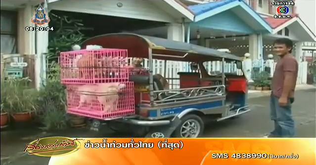 โวยเพื่อนบ้านเลี้ยงสุนัขจรจัดกว่า 60 ตัว ส่งกลิ่นเหม็น-เห่าเสียงดัง โวยเพื่อนบ้านเลี้ยงสุนัขจรจัดกว่า 60 ตัว ส่งกลิ่นเหม็น-เห่าเสียงดัง