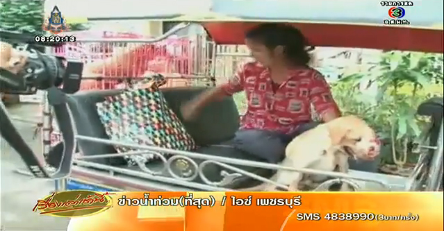 โวยเพื่อนบ้านเลี้ยงสุนัขจรจัดกว่า 60 ตัว ส่งกลิ่นเหม็น-เห่าเสียงดัง โวยเพื่อนบ้านเลี้ยงสุนัขจรจัดกว่า 60 ตัว ส่งกลิ่นเหม็น-เห่าเสียงดัง