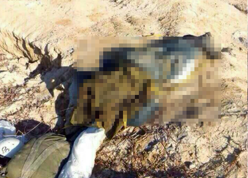 นรต. ฝึกโดดร่มแต่ร่มไม่กาง ร่วงกระแทกพื้นดับ 2 นรต. ฝึกโดดร่มแต่ร่มไม่กาง ร่วงกระแทกพื้นดับ 2