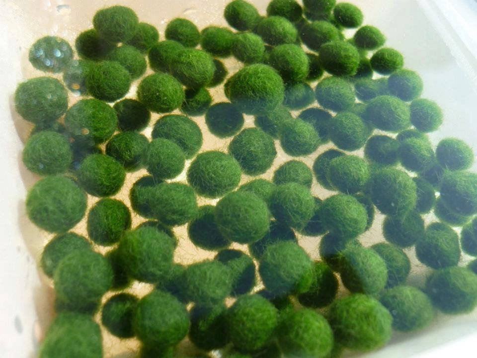 มาริโมะ มาริโมะ