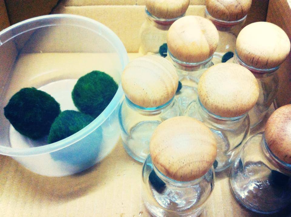 มาริโมะ มาริโมะ