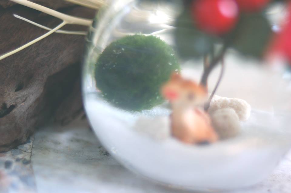 มาริโมะ มาริโมะ