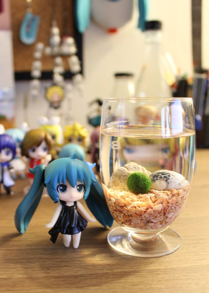 มาริโมะ มาริโมะ