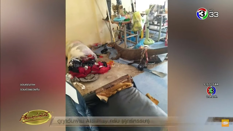 ตัวเงินตัวทองเข้าบ้าน ตัวเงินตัวทองเข้าบ้าน