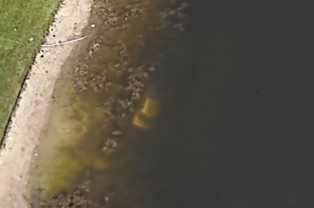 คนหาย คนหาย