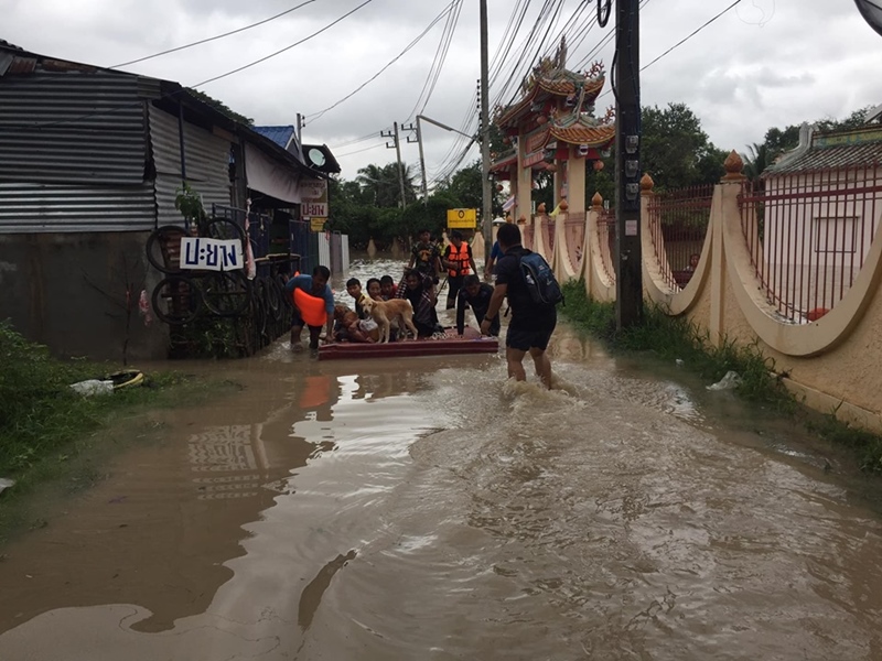 พายุโพดุล พายุโพดุล