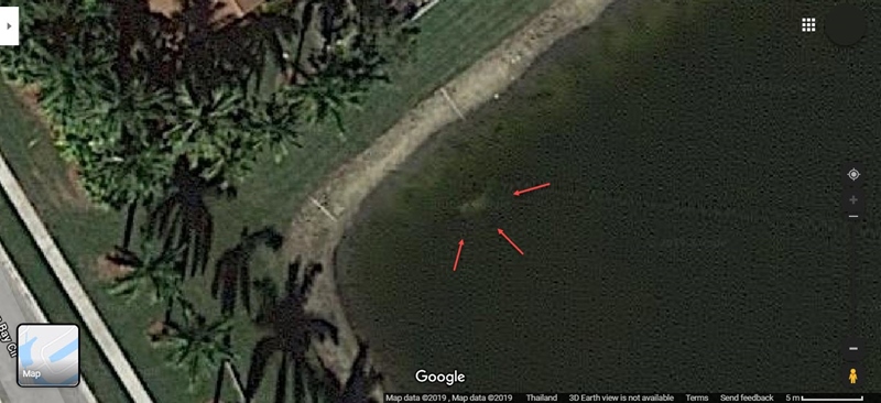 คนหาย คนหาย