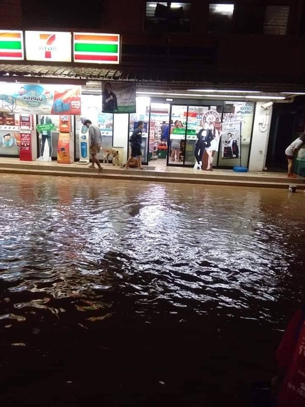 พายุโพดุล พายุโพดุล