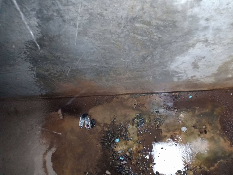 โครงกระดูกบนดาดฟ้า โครงกระดูกบนดาดฟ้า