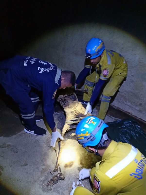 โครงกระดูกบนดาดฟ้า โครงกระดูกบนดาดฟ้า