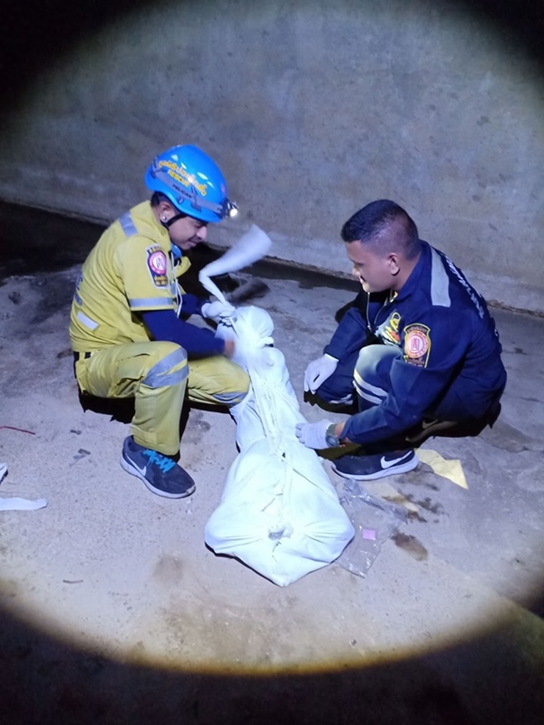 โครงกระดูกบนดาดฟ้า โครงกระดูกบนดาดฟ้า