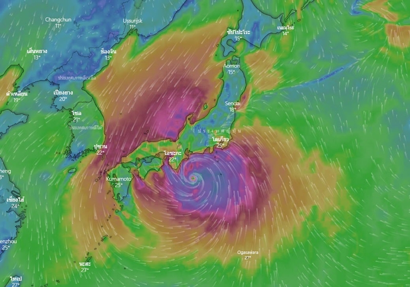 พายุไต้ฝุ่นฮากิบิส พายุไต้ฝุ่นฮากิบิส
