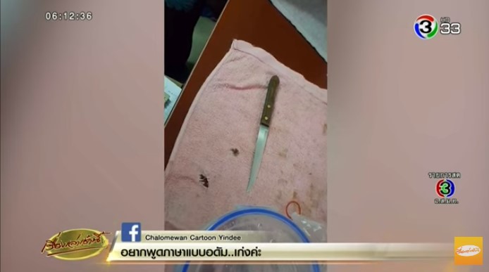 ลูกฆ่าแม่ ลูกฆ่าแม่