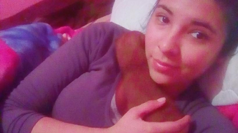 เสือพูมา เสือพูมา