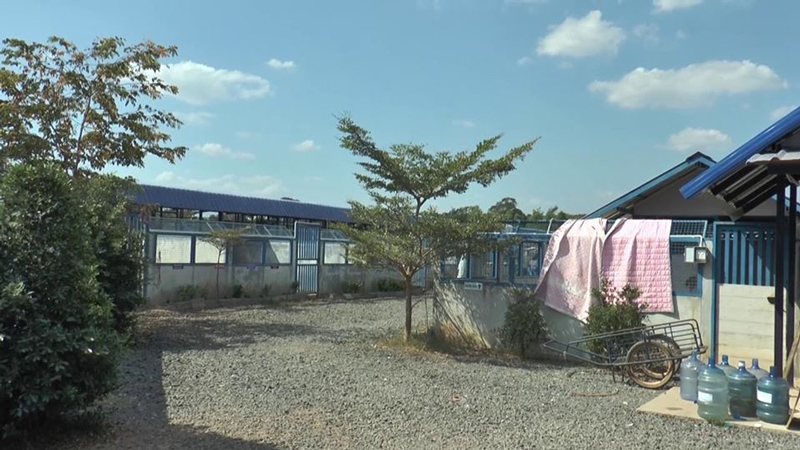 แฉนายจ้างฝรั่งจับขับกรงหมา แฉนายจ้างฝรั่งจับขับกรงหมา