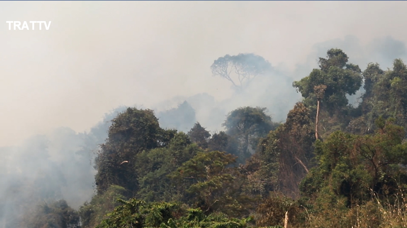 ไฟป่าตราด ไฟป่าตราด