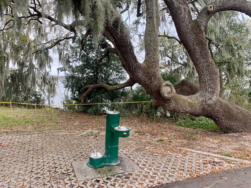 ปิดพื้นที่ให้งูผสมพันธุ์ ปิดพื้นที่ให้งูผสมพันธุ์