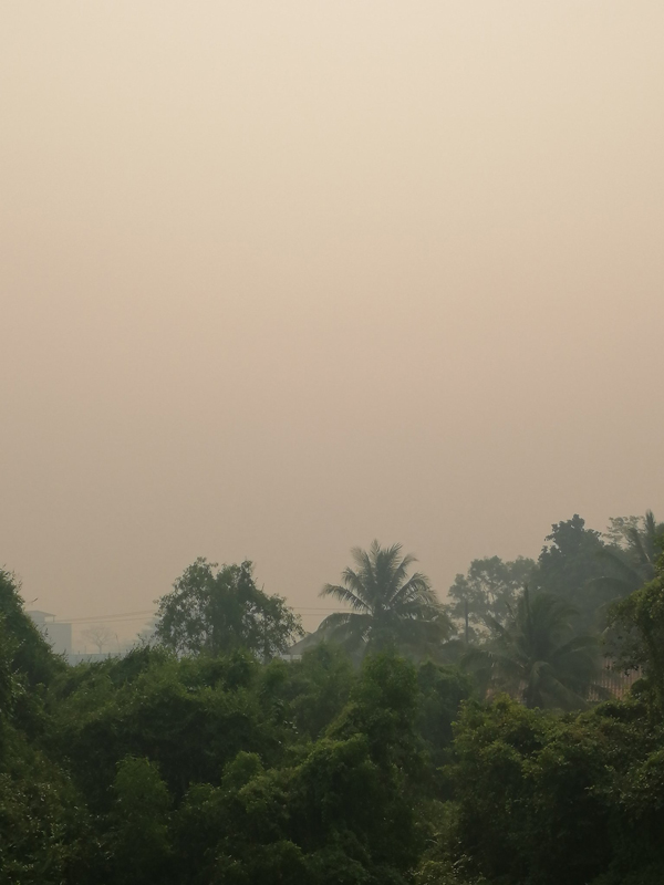ไฟป่าตราด ไฟป่าตราด