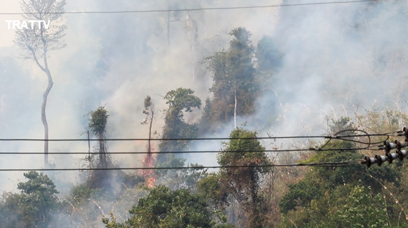 ไฟป่าตราด ไฟป่าตราด