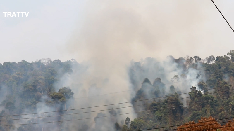 ไฟป่าตราด ไฟป่าตราด